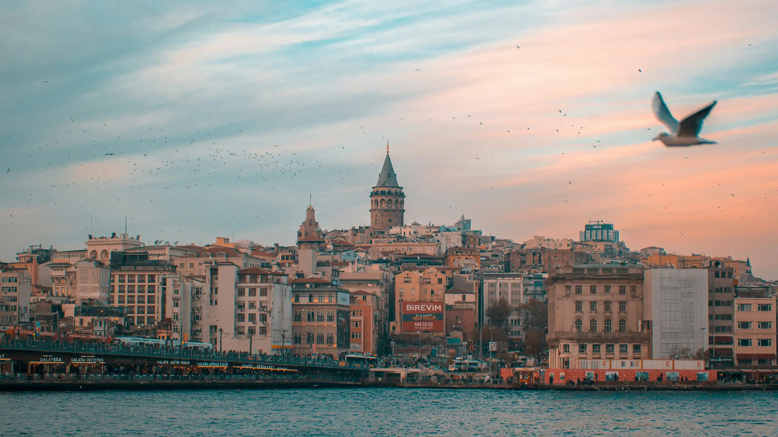 From Dream to Destination - Tracway