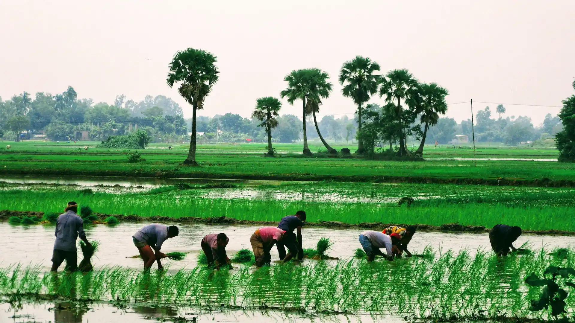 Authentic Homestay with the Santal Community image 2