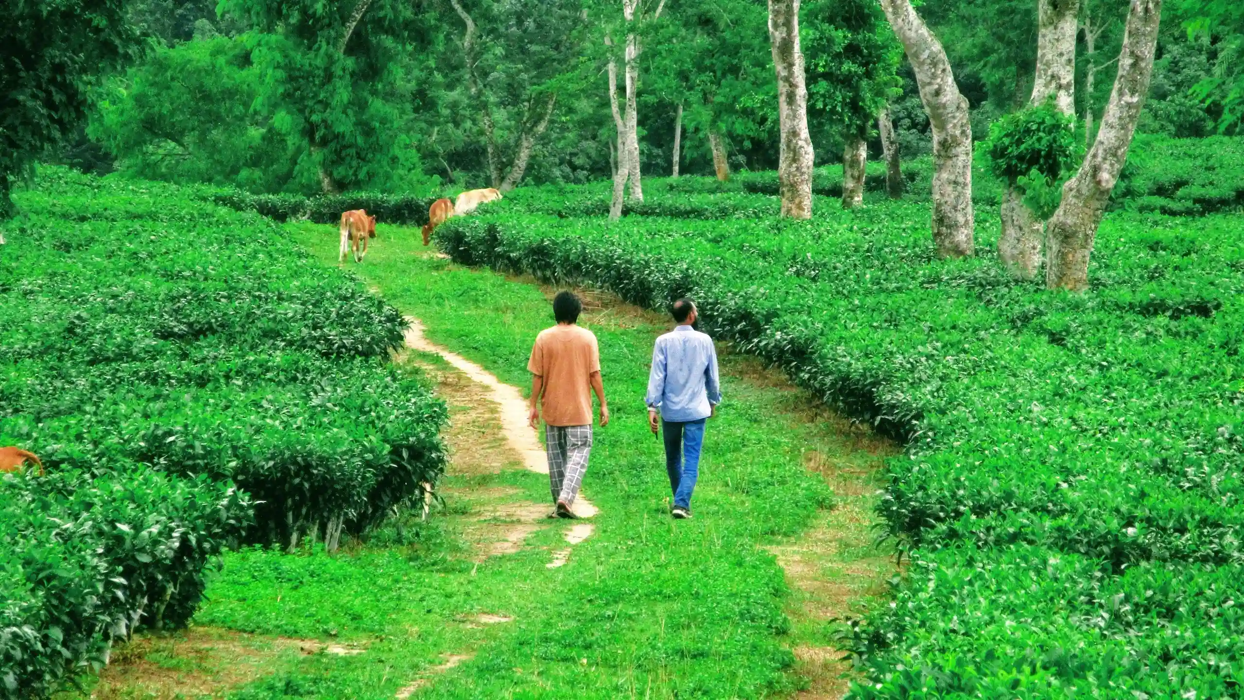 Bhanugach - Community Tourism