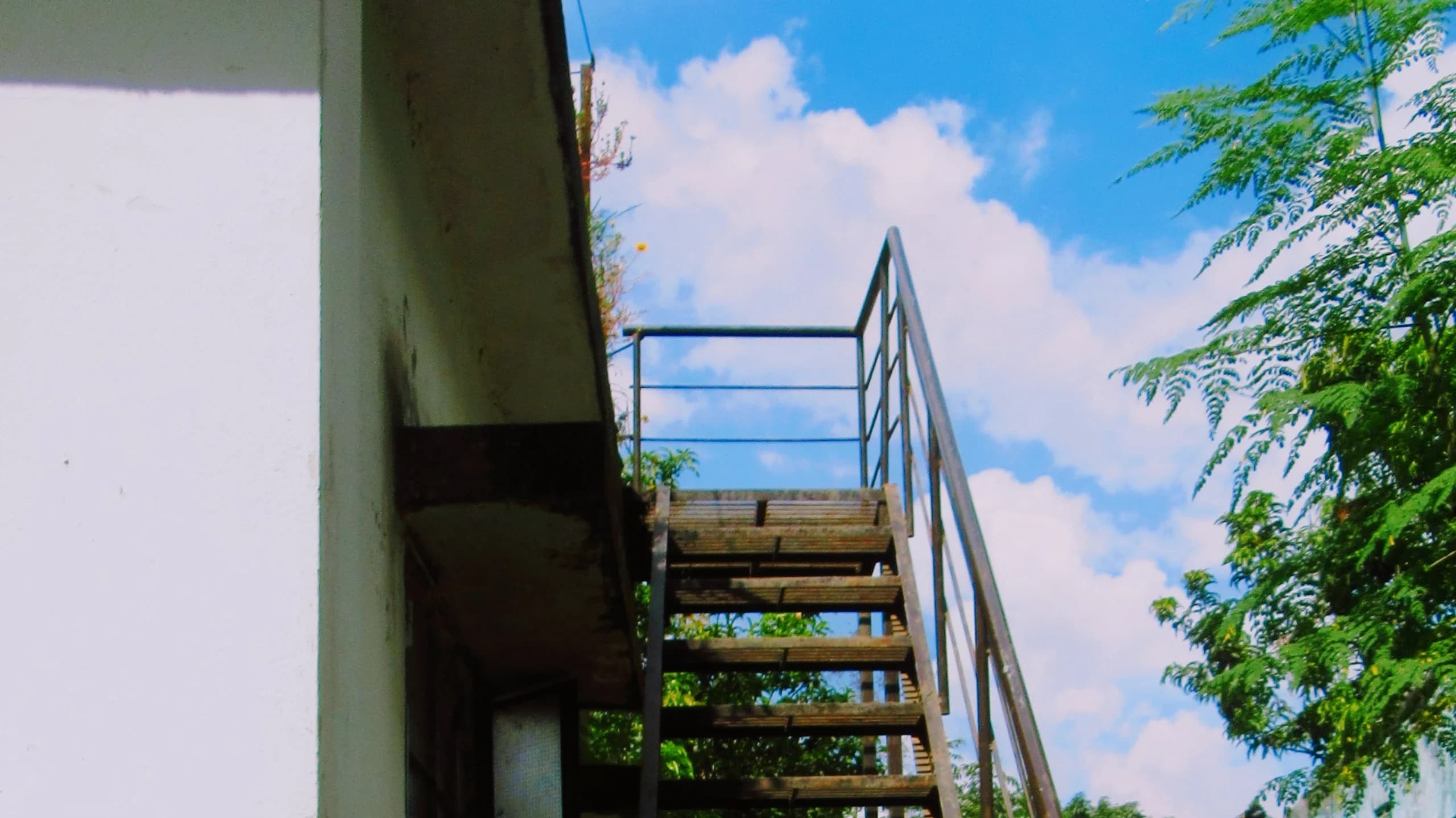 Shiulitola Homestay - Community Tourism