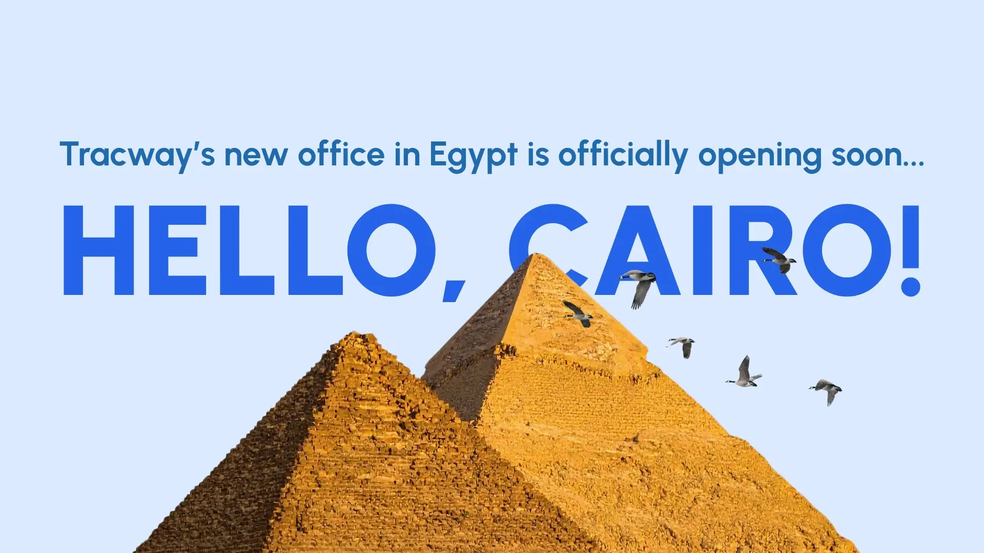 Big News: Tracway is Landing in the Land of the Pharaohs! New Cairo Office Coming Soon